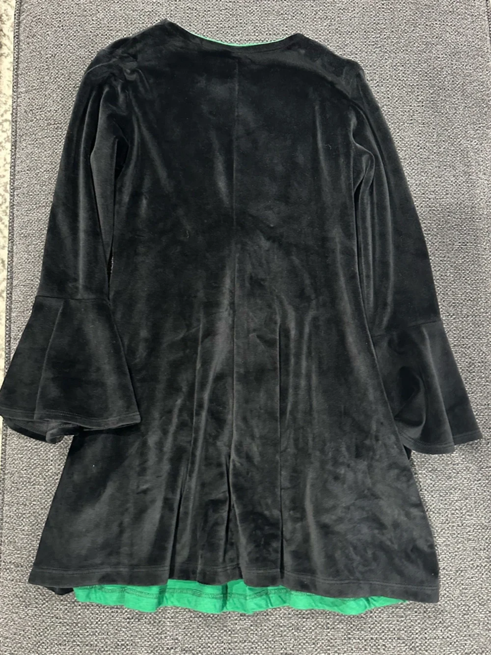 Hocus Pocus Disney Black and Green Velvet-Style Witch Dress Costume - Picture 2 of 3